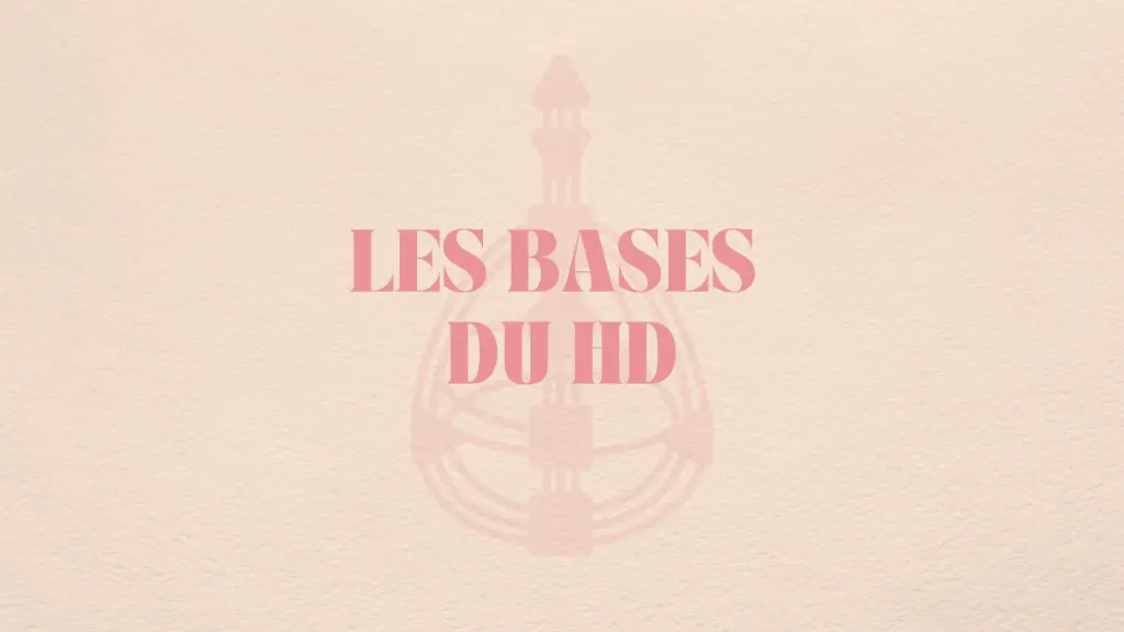 Human Design Module : les bases 